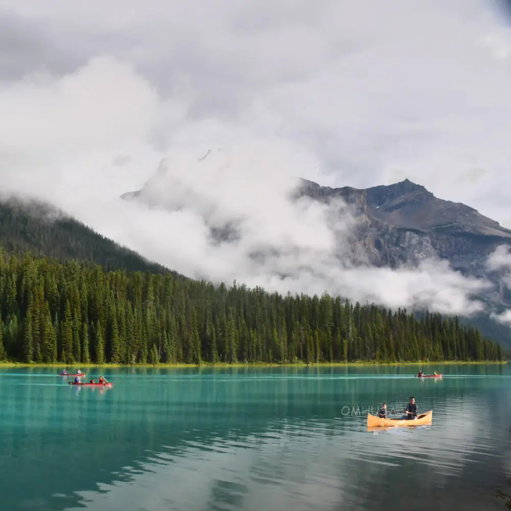 Wooden Canoe with Ribs 16